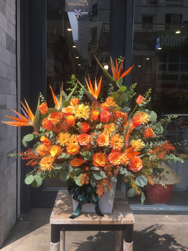 Gói sinh nhật Panasonic sales miền Nam