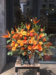 [B2B-Panasonic-925k] Gói sinh nhật Panasonic sales miền Bắc