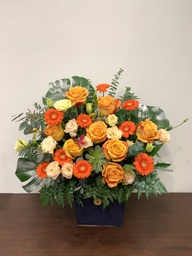 [B2B-Panasonic-600K] Gói Panasonic TTDVUQ